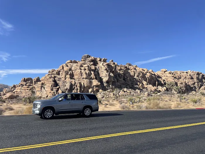 Alamo Rent A Car Picture 8