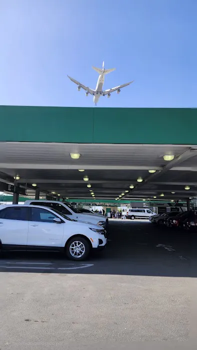 Alamo Rent A Car Picture 9