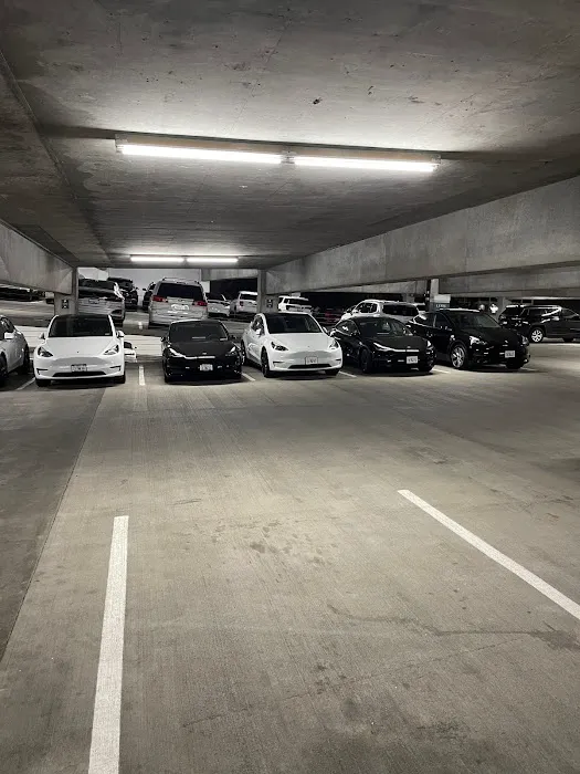 UFODRIVE: 24/7 Car Rental - LAX South Picture 8