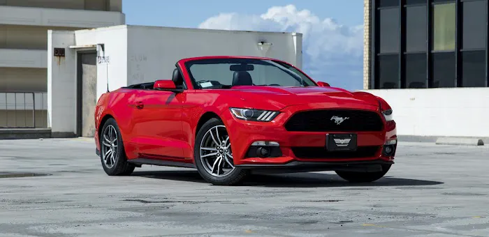 Elita Rent A Car Picture 6