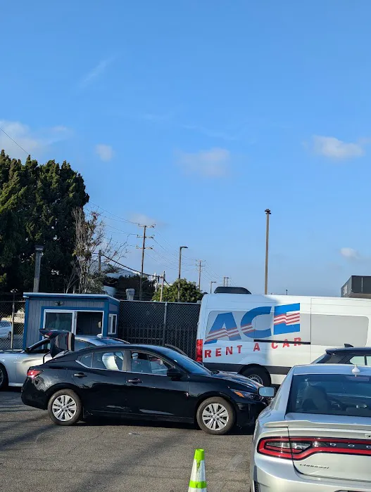 ACE Rent A Car Picture 7