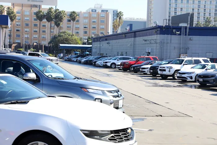 Budget Car Rental Picture 4