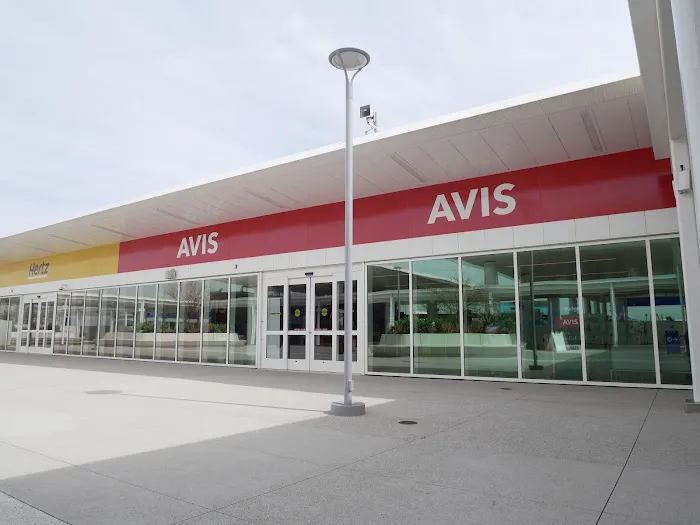 Avis Car Rental Picture 1
