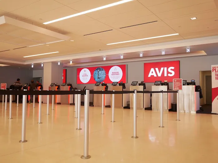 Avis Car Rental Picture 3