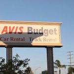 Avis Car Rental