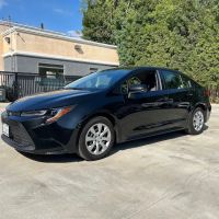 Lux Motor Cars / Green Motion ico