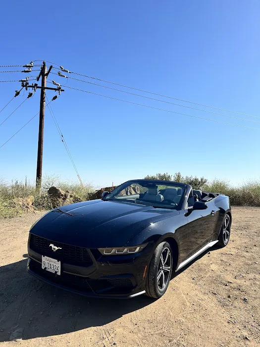 Alamo Rent A Car Picture 4
