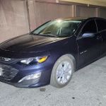 Avis Car Rental