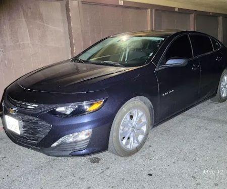 Avis Car Rental