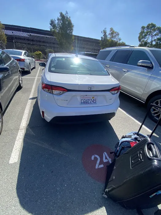 Avis Car Rental Picture 6