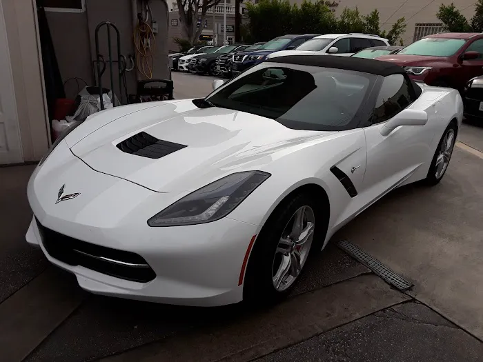 Black and White Car Rental Picture 2