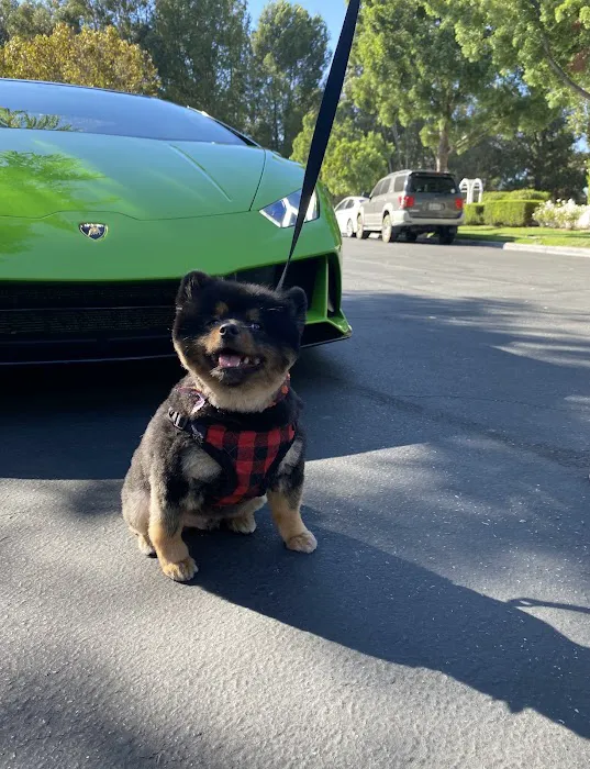 Premier Auto Rental Picture 7