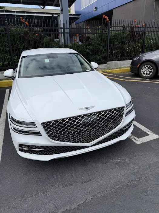 Avis Car Rental Picture 5