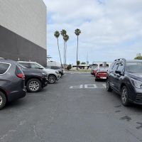 Avis Car Rental ico