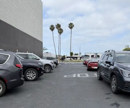 Avis Car Rental