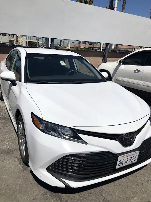 Avis Car Rental Picture 6