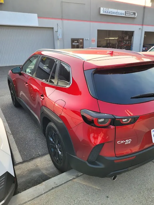 Avis Car Rental Picture 1