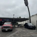 Avis Car Rental