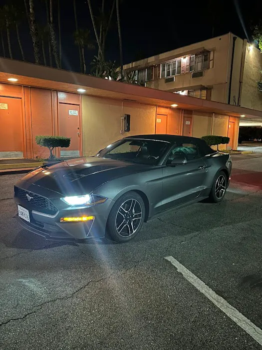 Avis Car Rental Picture 3