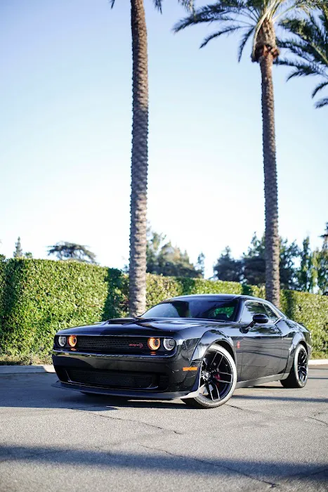 Icar Lifestyle Picture 6