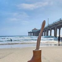 AIG Exotic Rentals ico