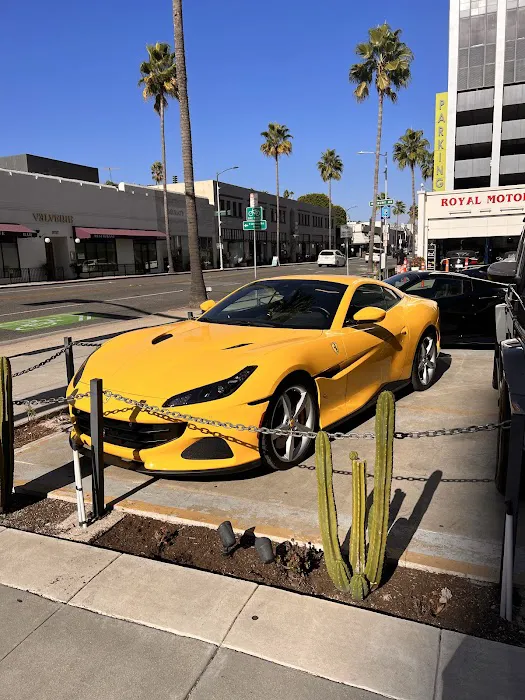 Beverly Hills Car Rental Picture 4