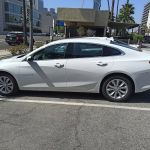 Avis Car Rental