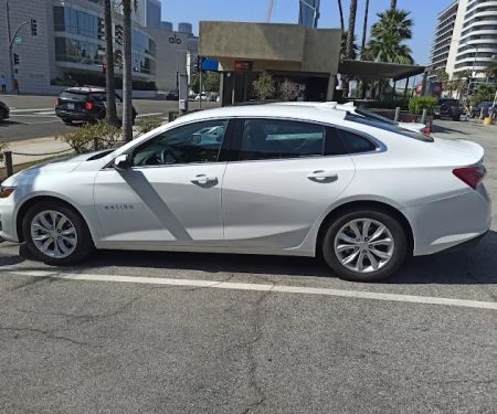 Avis Car Rental