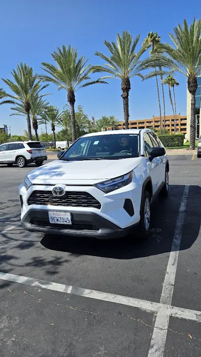 Avis Car Rental Picture 10