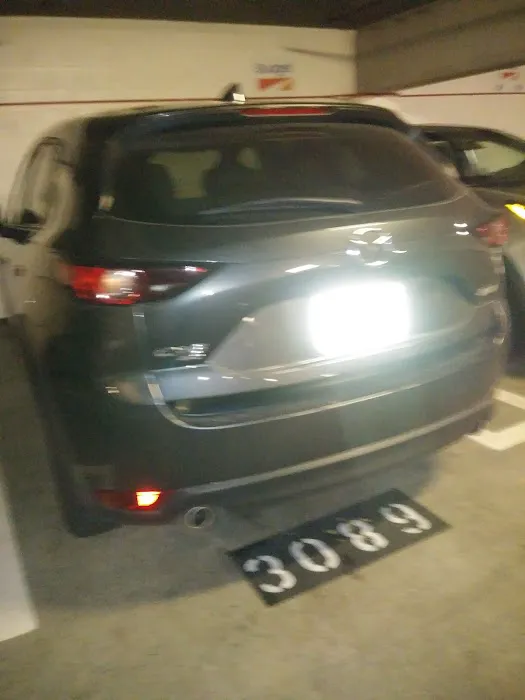 Budget Car Rental Picture 9