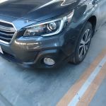 Avis Car Rental