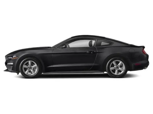 PiggyCars Rental Picture 2