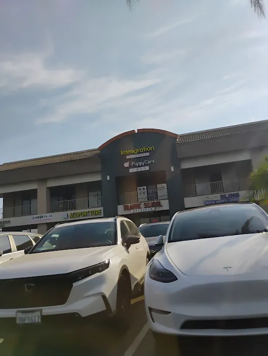 PiggyCars Rental Picture 7