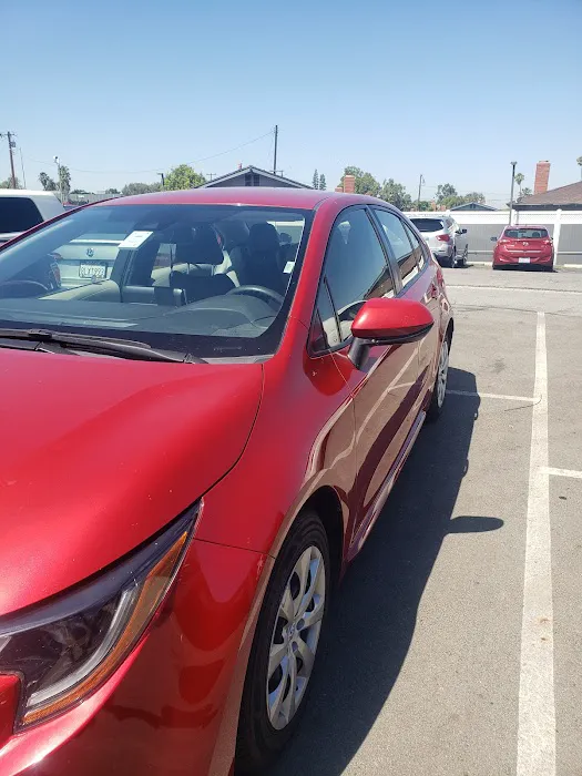 Avis Car Rental Picture 2