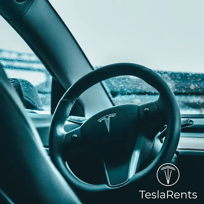 TeslaRents Picture 6