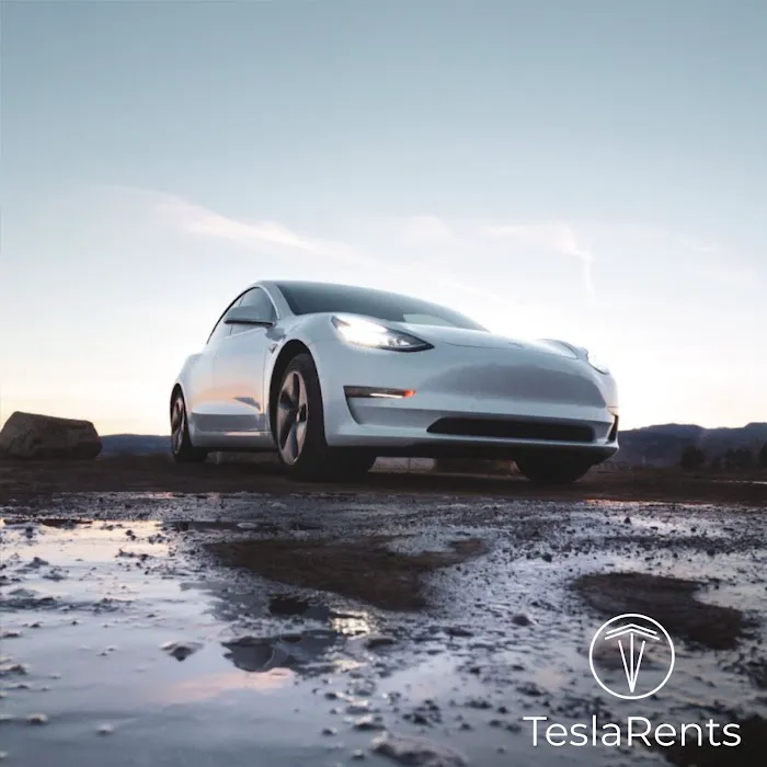 TeslaRents Picture 4