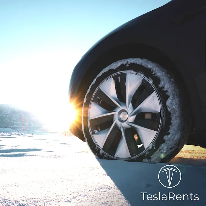 TeslaRents Picture 7