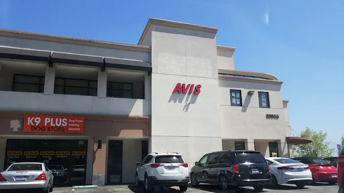 Avis Car Rental Picture 1