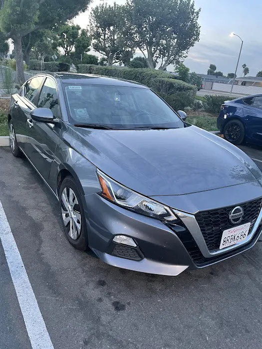 Avis Car Rental Picture 2
