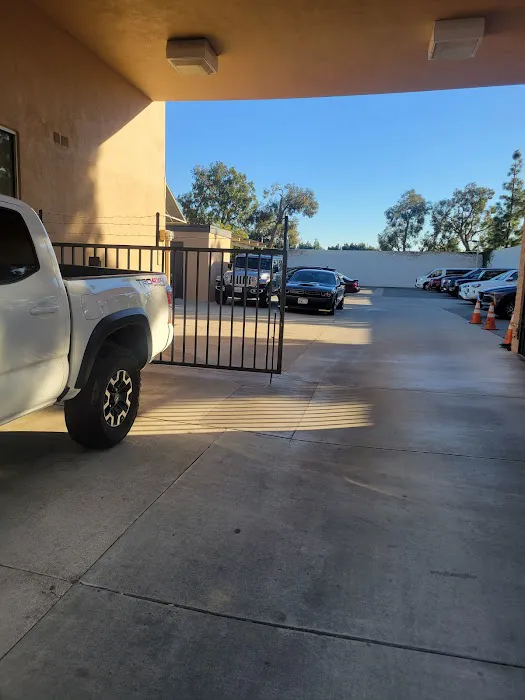 Budget Car Rental Picture 2