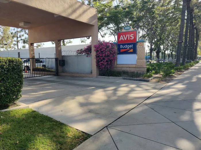 Avis Car Rental Picture 7