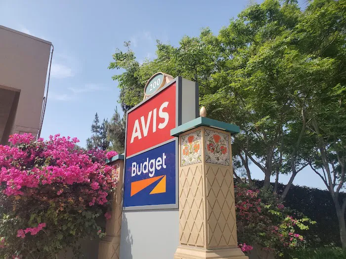 Avis Car Rental Picture 8