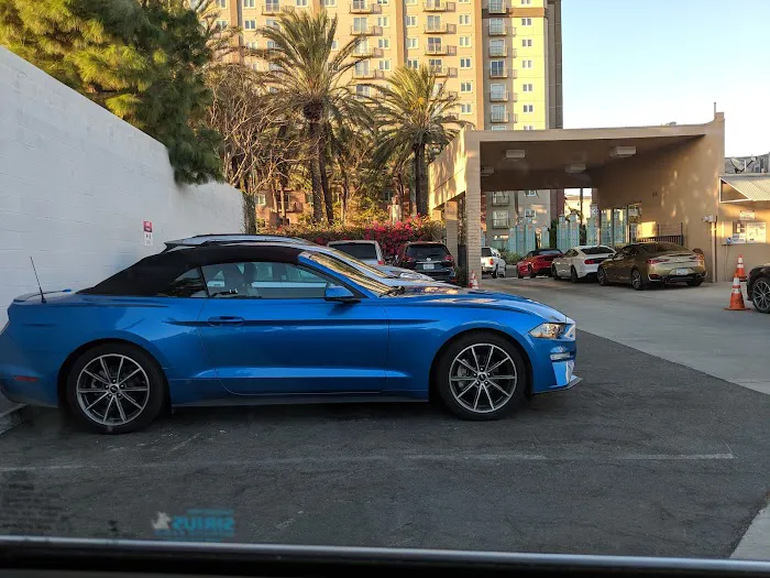 Avis Car Rental Picture 10