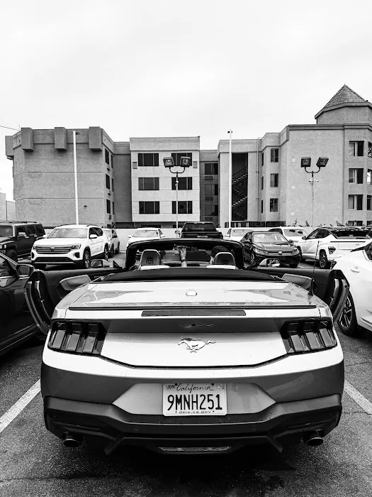 National Car Rental Picture 6