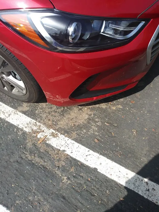 Avis Car Rental Picture 3