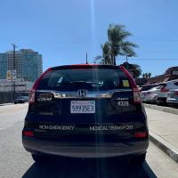Boss Transport and Family Services LLC ico