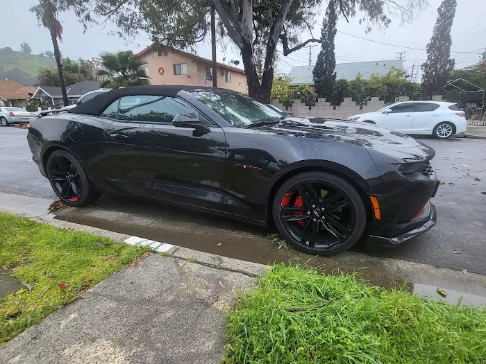 Alamo Rent A Car Picture 4