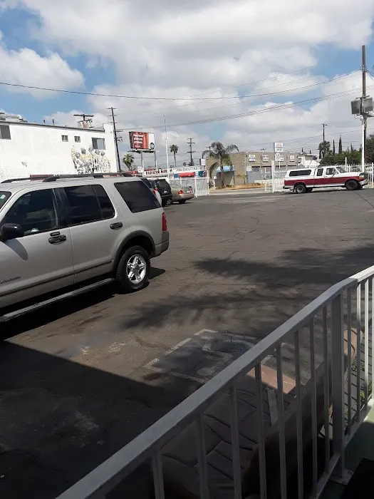 Costless Car Rental - N Hollywood Picture 4