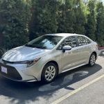Wagstaff Rental Cars
