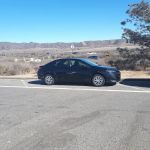 Avis Car Rental